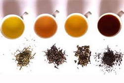 Variedades de Té